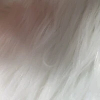 画像415