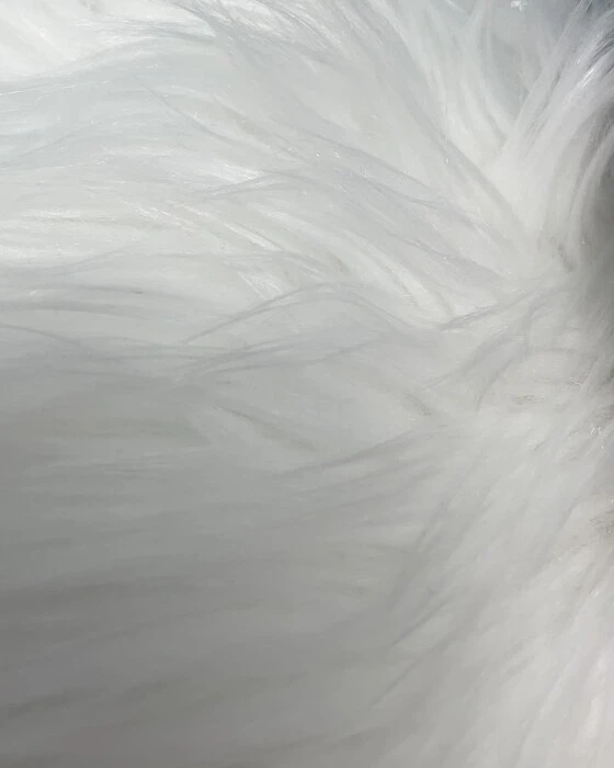 画像430