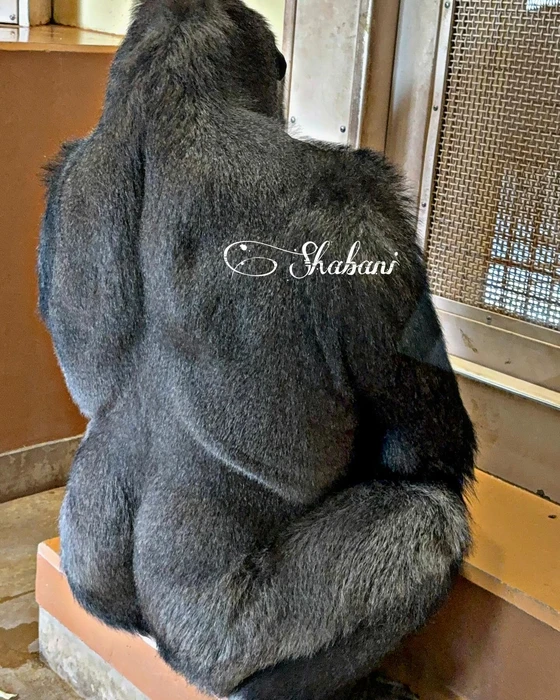 画像492