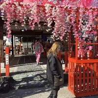 画像493