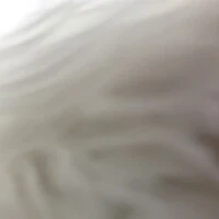 画像498
