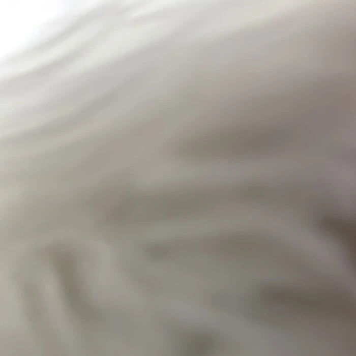 画像498