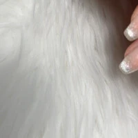 画像505